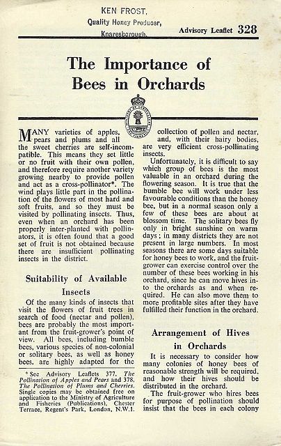 The Importance of Bee Orchards.