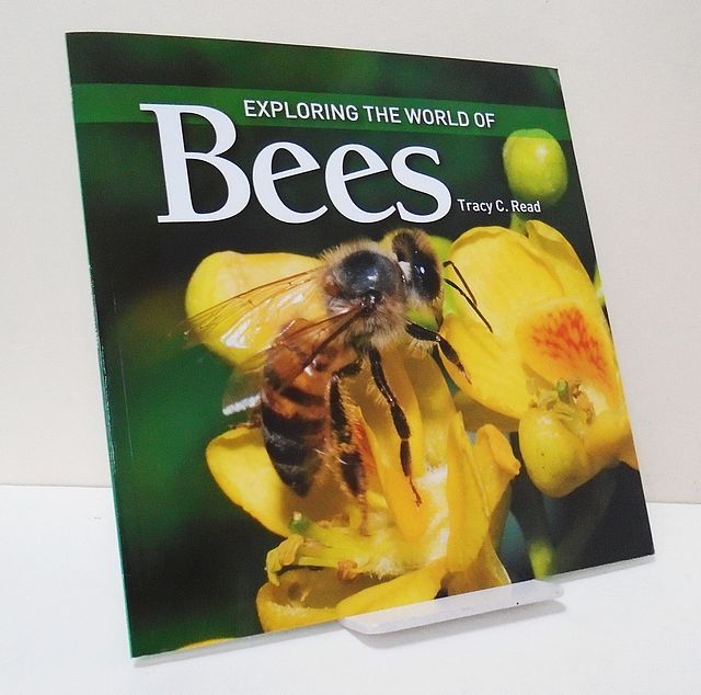 Exploring the World of Bees.