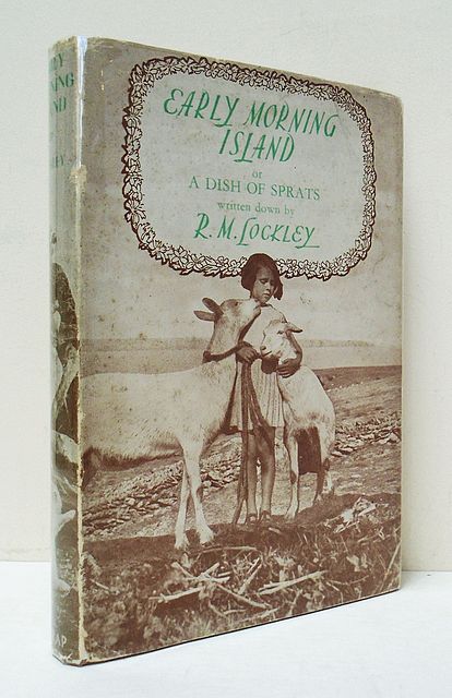 Early Morning Island.