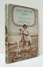 Early Morning Island.