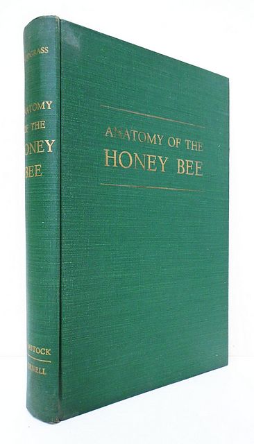 Anatomy of the Honey Bee. 