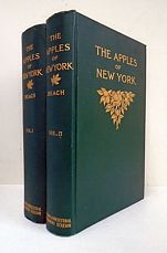 The Apples of New York.