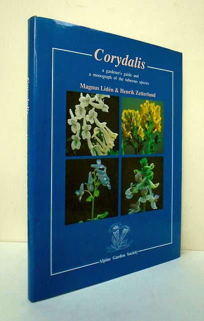 Corydalis.