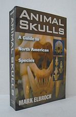 Animal Skulls.