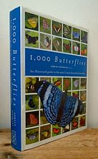 1,000 Butterflies.