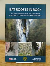 Bat Roosts in Rock.