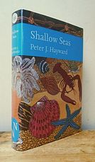 Shallow Seas.