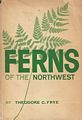 Ferns.