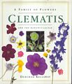 Clematis. 