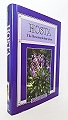 Hosta. 