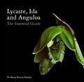 Lycaste, Ida and Anguloa (Orchids)