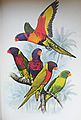 Parrots of the World. 