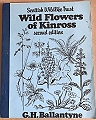 Wild Flowers of Kinross.