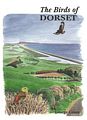 The Birds of Dorset.