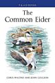 The Common Eider.