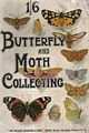 Butterfly and Moth Collecting: