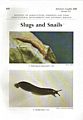 Slugs and Snails.
