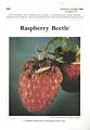 Raspberry Beetle.