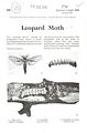 Leopard Moth.