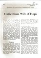 Verticillium Wilt of Hops.