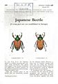 Japanese Beetle. (A crop pest not yet established in Europe). 