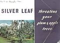 Silver Leaf:
