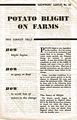Potato Blight on Farms.