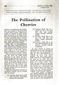 The Pollination of Cherries.