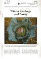 Winter Cabbage and Savoy.