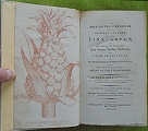The Hot-House Gardener on the General Culture of the Pine-Apple.