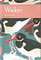 Waders.