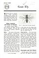 Gout Fly.