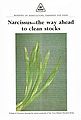 Narcissus - The Way Ahead to Clean Stocks.