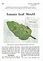 Tomato Leaf Mould.