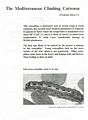 The Mediterranean Climbing Cutworm.