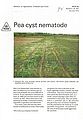 Pea Cyst Nematode.