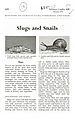 Slugs and Snails.