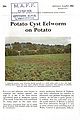 Potato Cyst Eelworm on Potato.