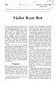 Violet Root Rot.