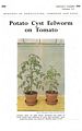 Potato Cyst Eelworm on Tomato.