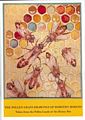 The Pollen Grain Drawings of Dorothy Hodges.