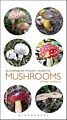 Bloomsbury Pocket Guide to Mushrooms.