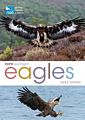 RSPB Spotlight: Eagles.