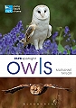 RSPB Spotlight: Owls.