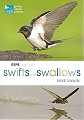 RSPB Spotlight: Swifts and Swallows.