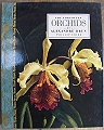 The Forgotten Orchids of Alexandre Brun.
