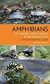 Amphibians of Europe, North Africa and the Middle East. 