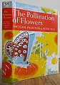 The Pollination of Flowers.