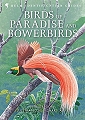 Birds of Paradise and Bowerbirds.