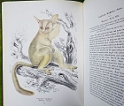 Illustrations of the Zoology of South Africa.